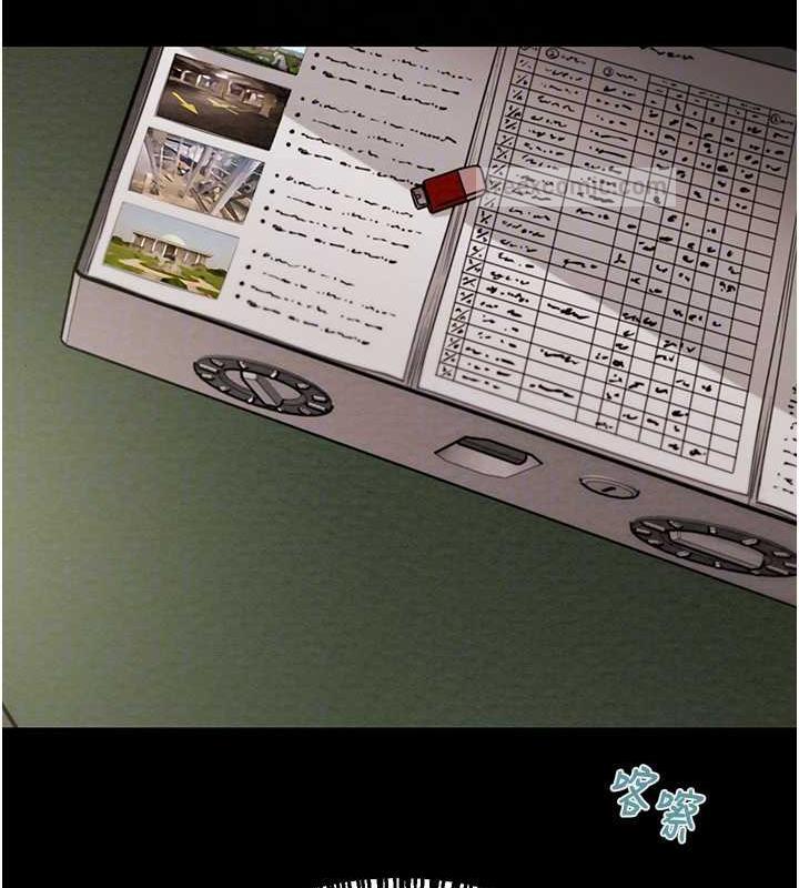 19P - 掠夺行动