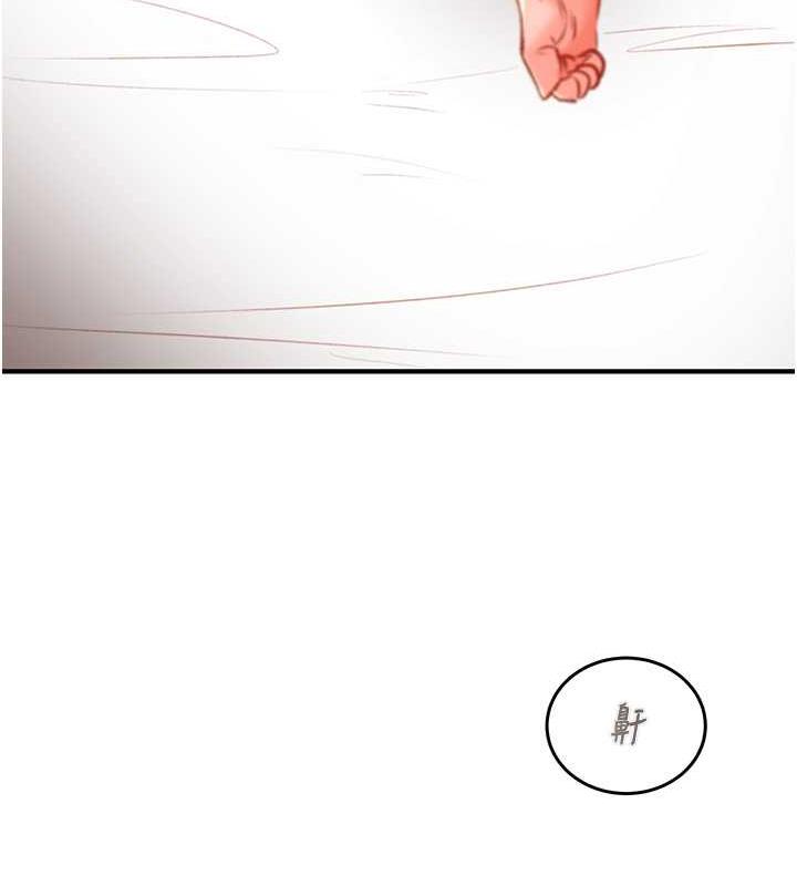 41P - 掠夺行动