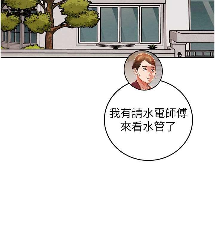 81P - 掠夺行动