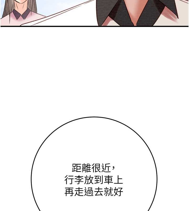 164P - 掠夺行动