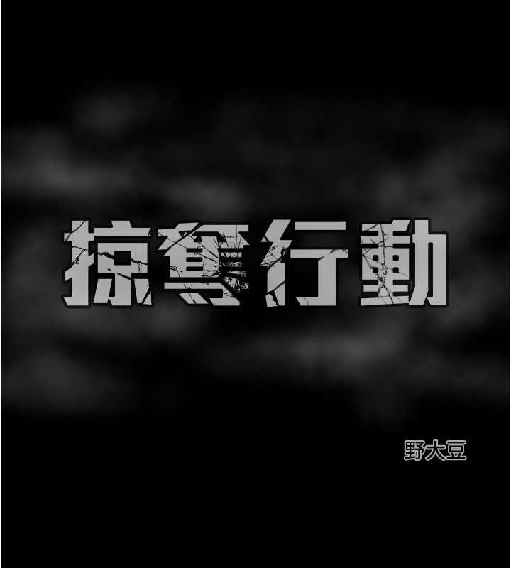 233P - 掠夺行动