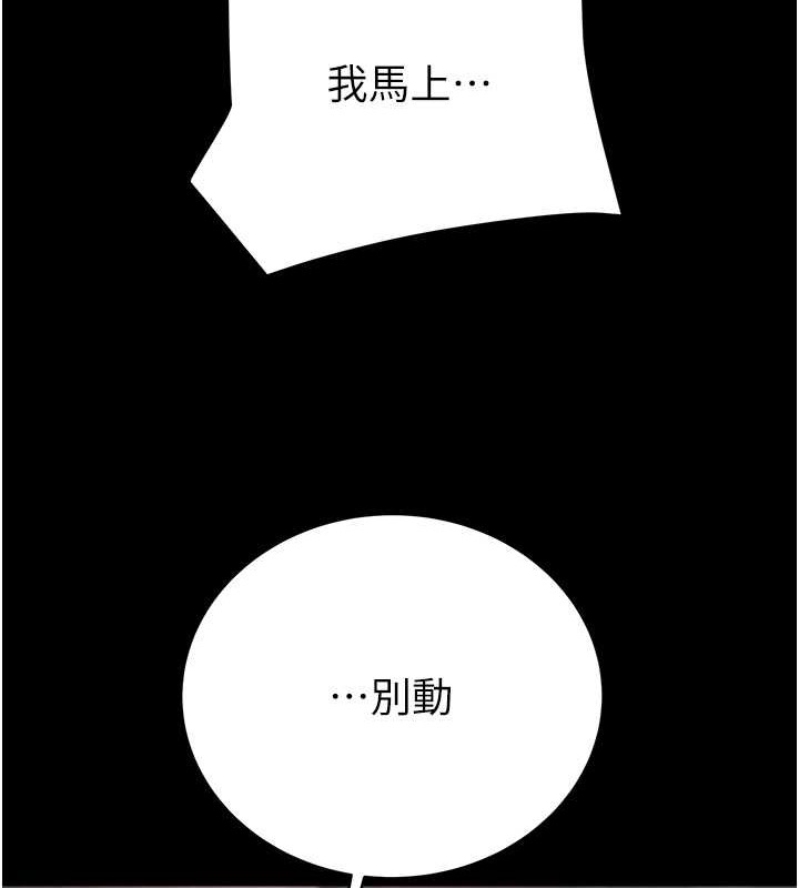 210P - 掠夺行动