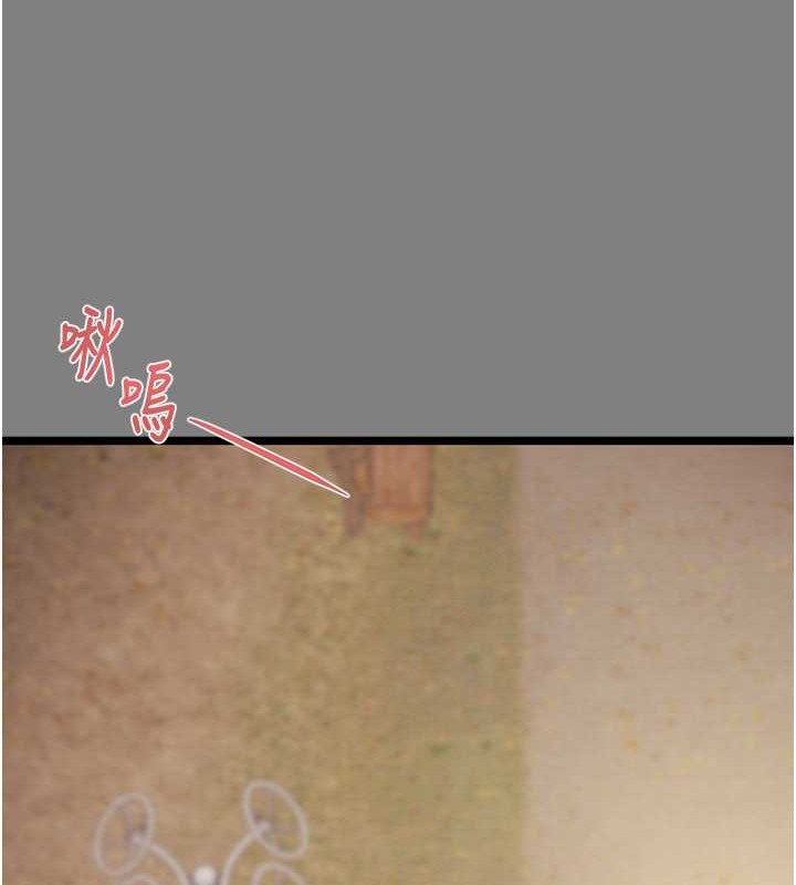 208P - 掠夺行动