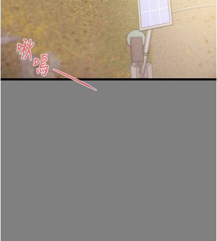 210P - 掠夺行动