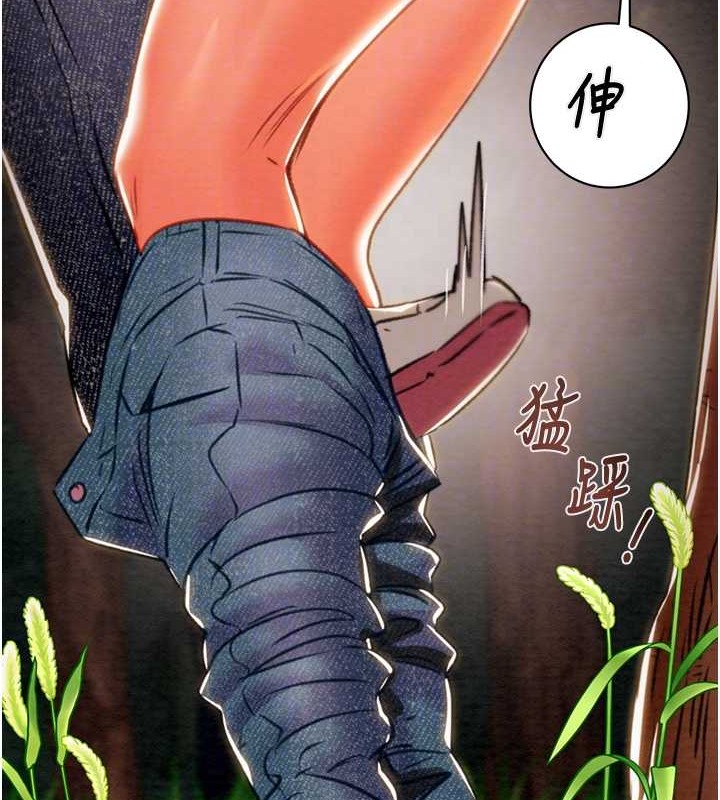 101P - 掠夺行动