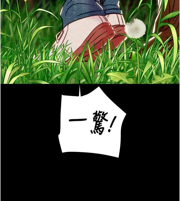 102P - 掠夺行动