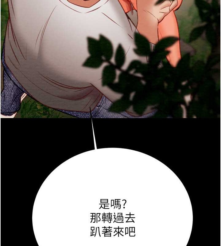 153P - 掠夺行动