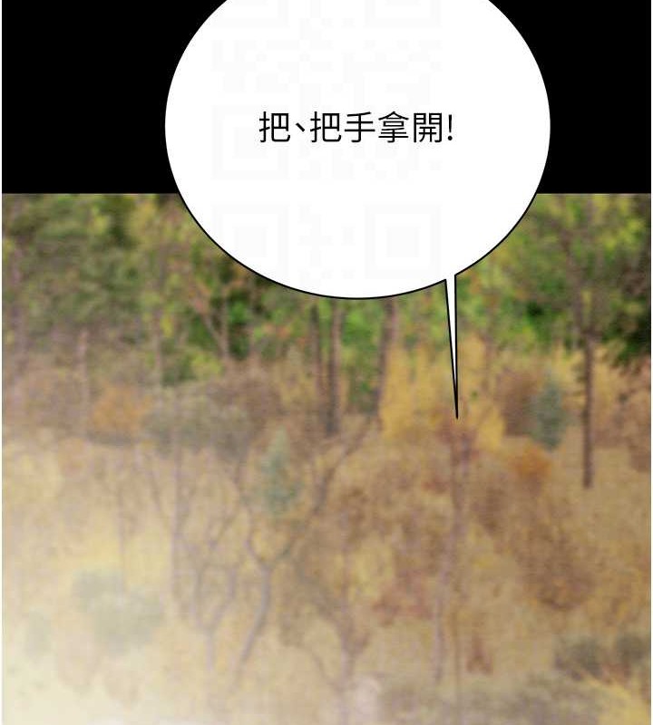 74P - 掠夺行动
