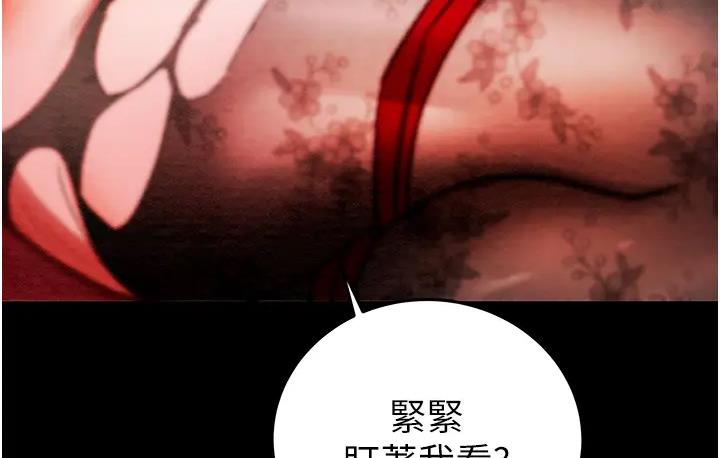 234P - 掠夺行动