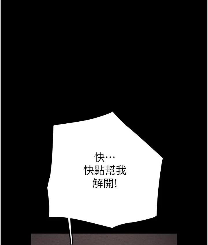 245P - 掠夺行动