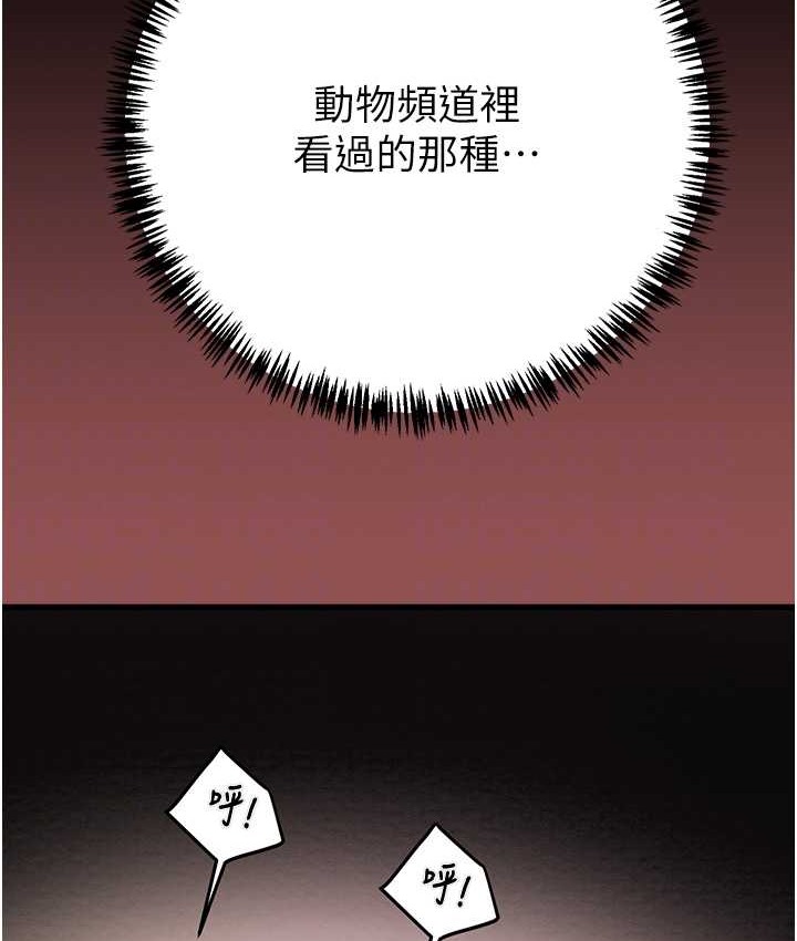 98P - 掠夺行动