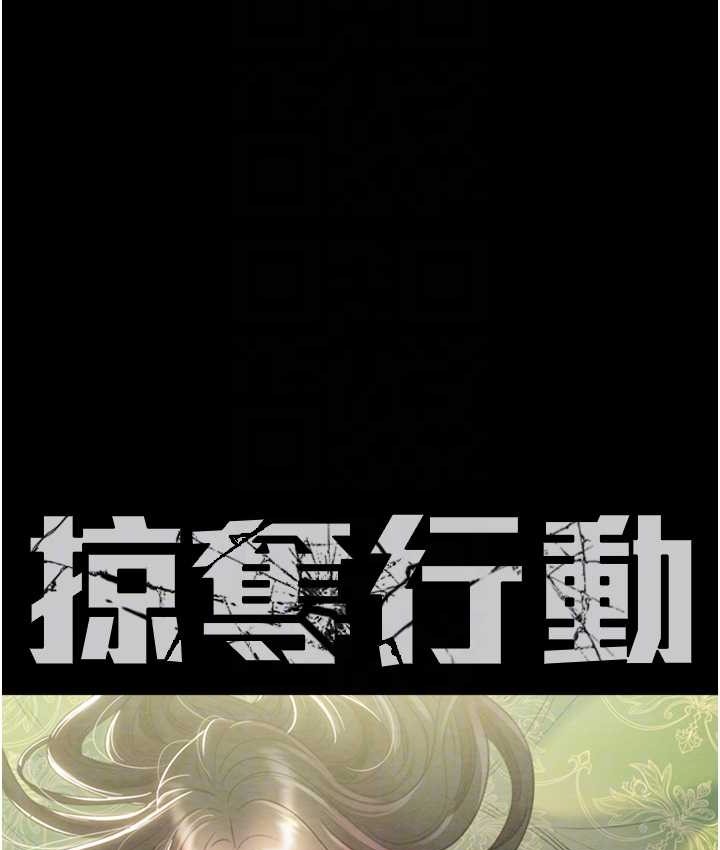 12P - 掠夺行动