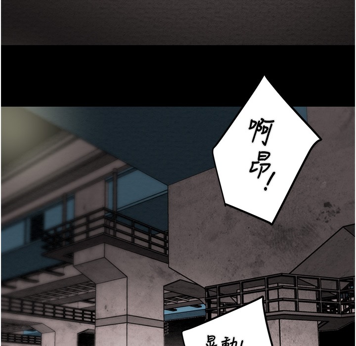 282P - 掠夺行动