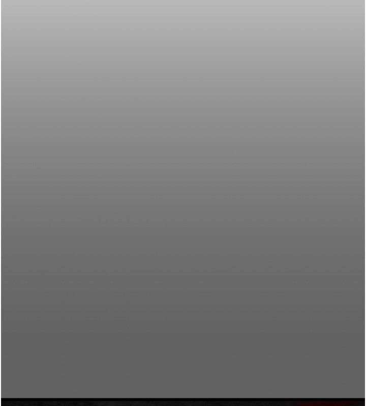 205P - 掠夺行动