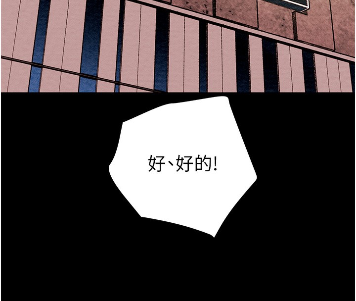 8P - 掠夺行动