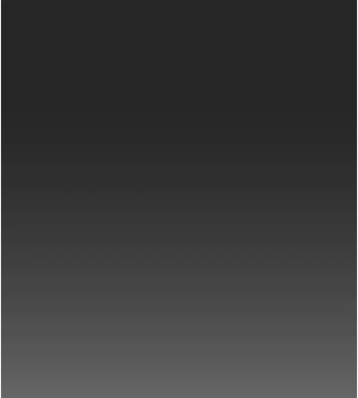 102P - 掠夺行动