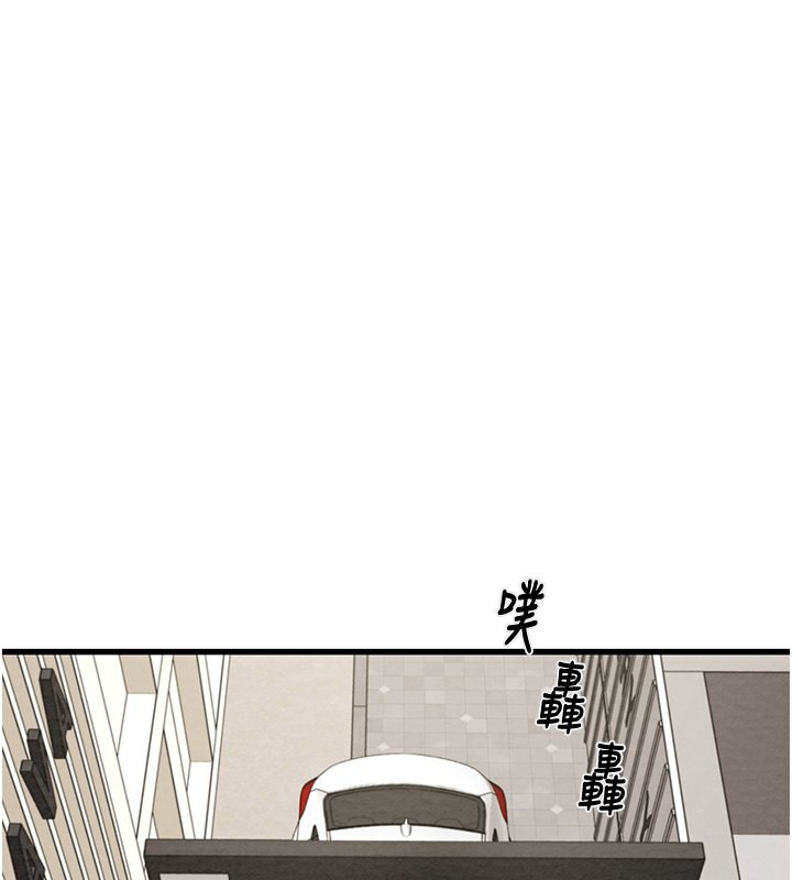 233P - 掠夺行动