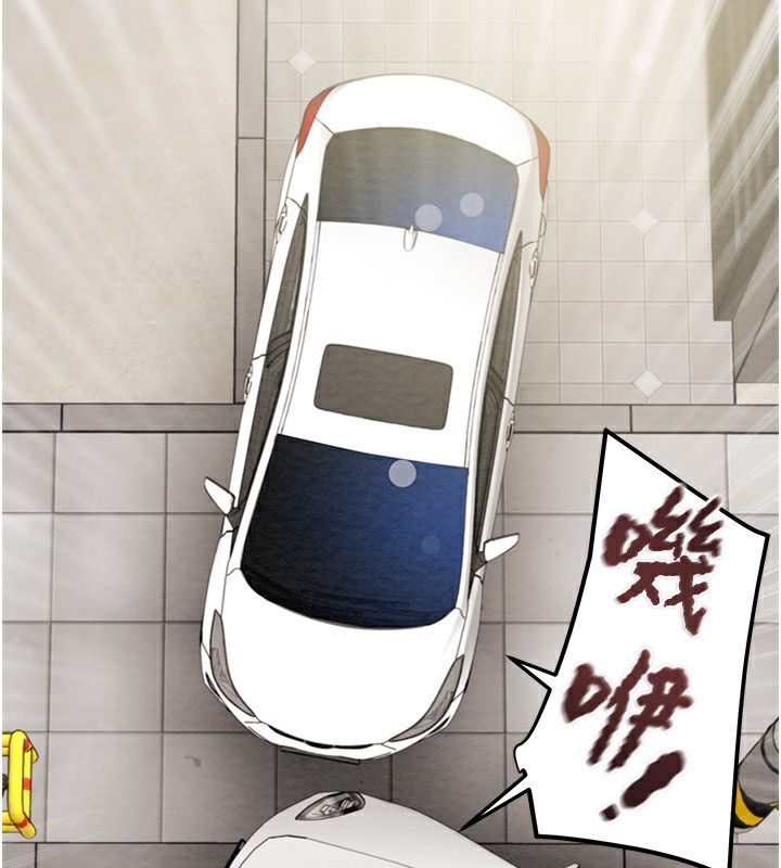 244P - 掠夺行动