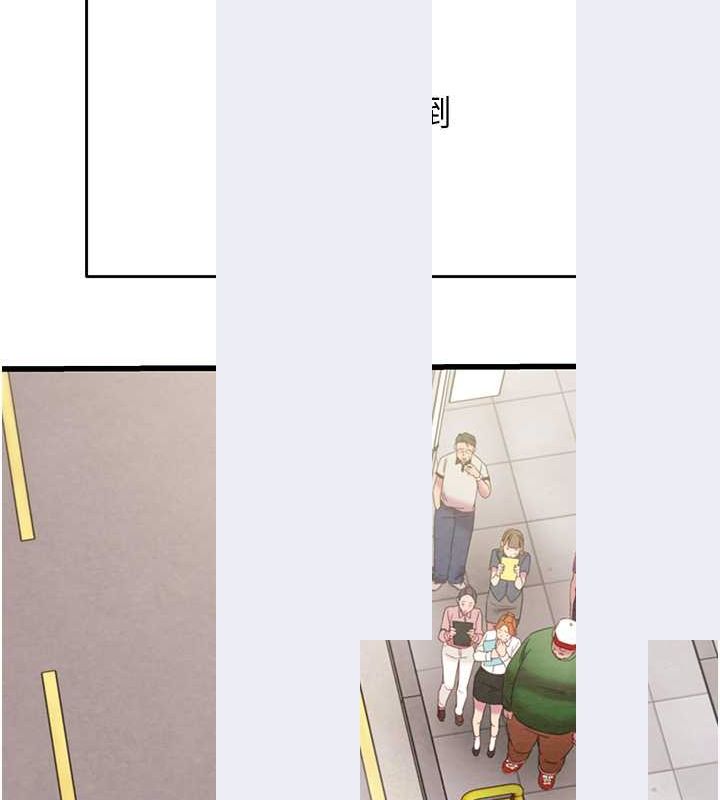 141P - 掠夺行动