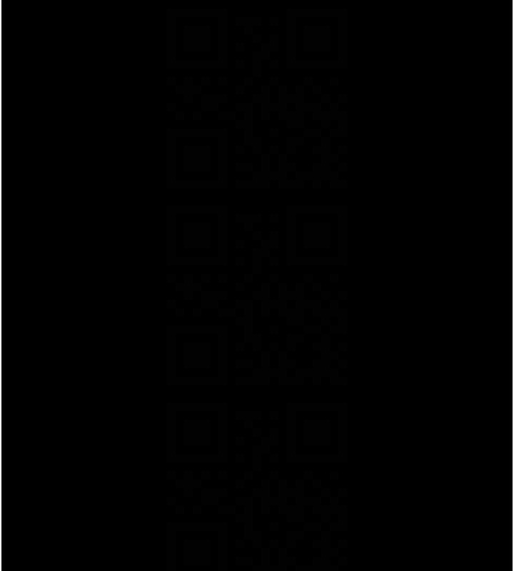 16P - 掠夺行动