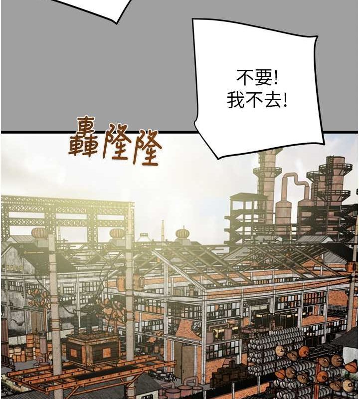 162P - 掠夺行动