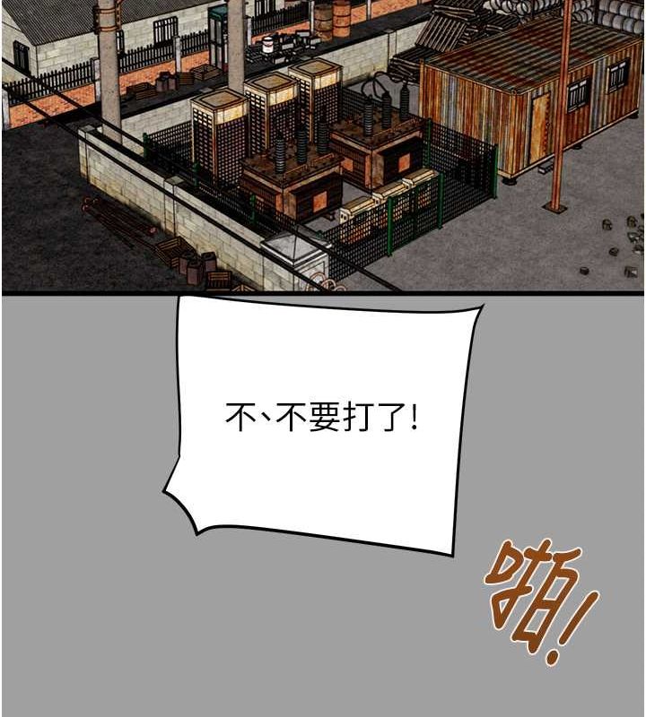 163P - 掠夺行动