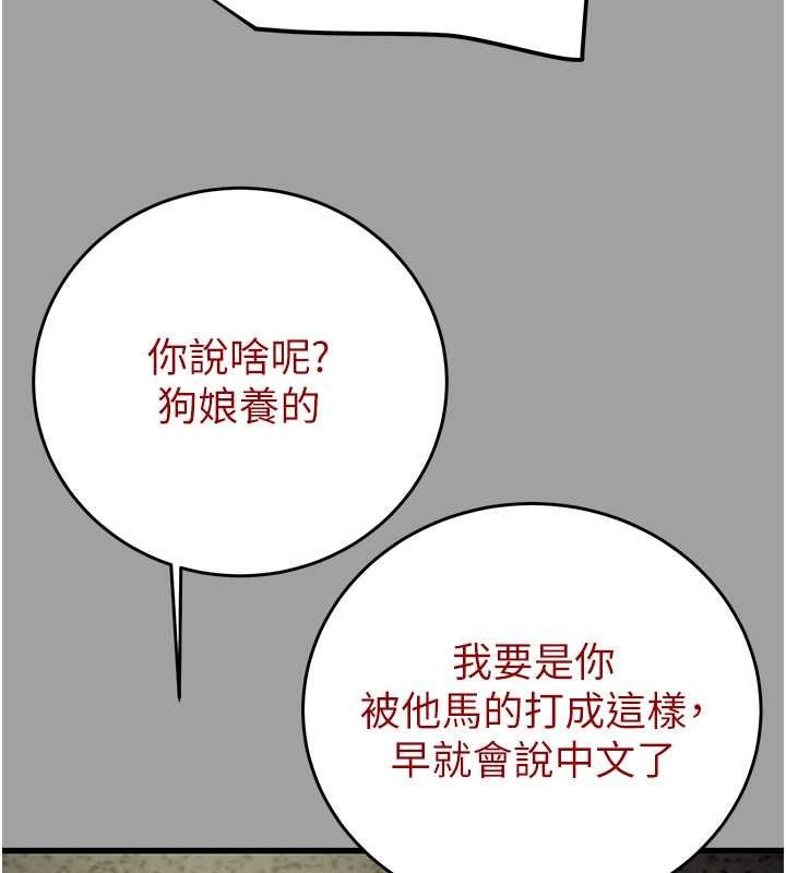 172P - 掠夺行动