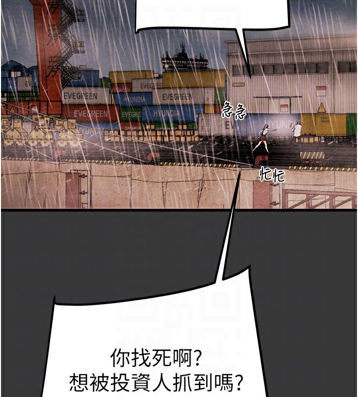 18P - 掠夺行动