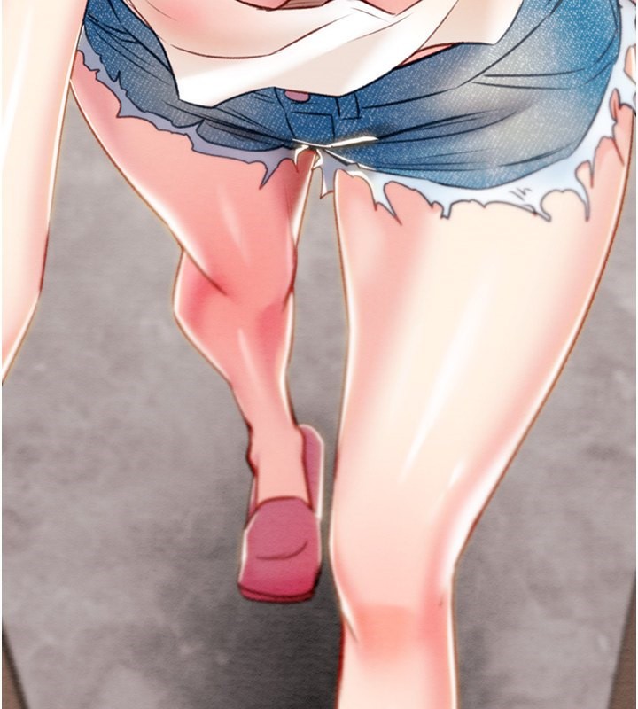 243P - 掠夺行动