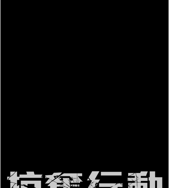 12P - 掠夺行动