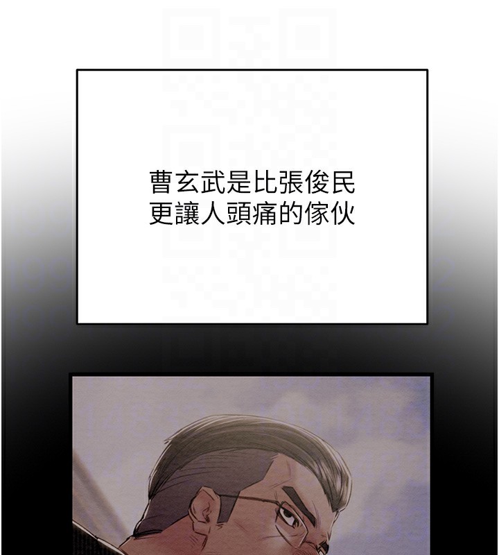 19P - 掠夺行动
