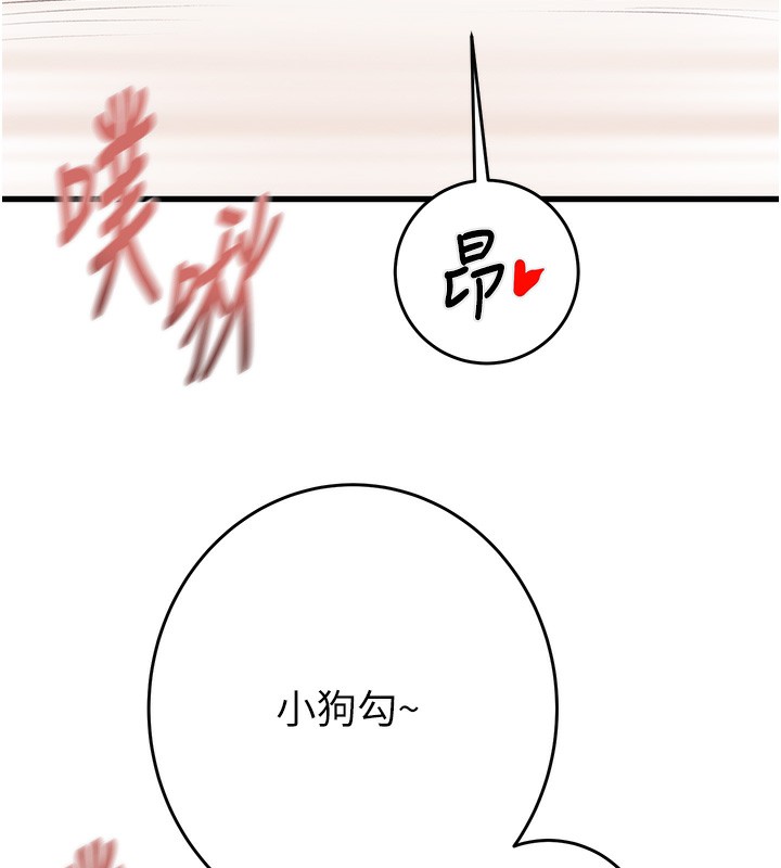 41P - 掠夺行动