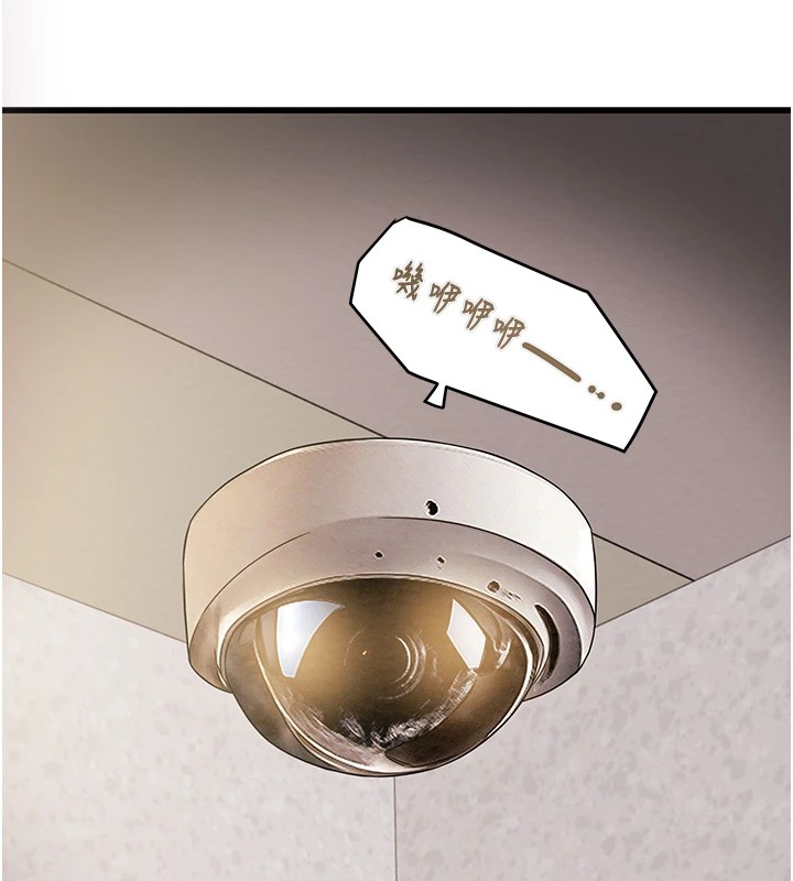31P - 掠夺行动