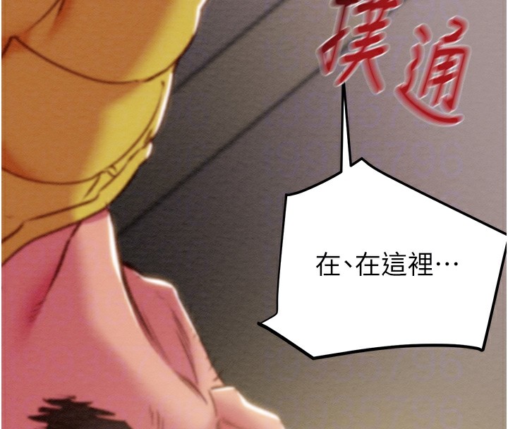 37P - 掠夺行动