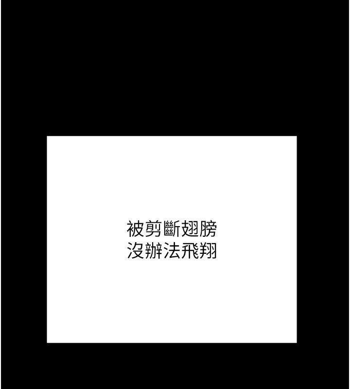 223P - 掠夺行动