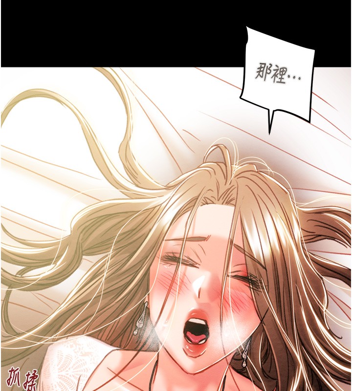 224P - 掠夺行动
