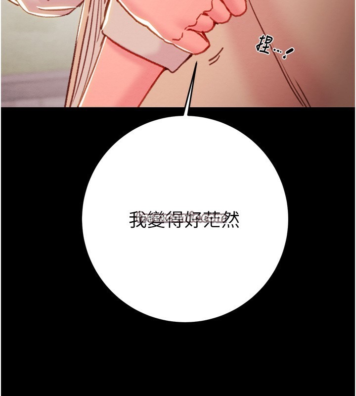 163P - 掠夺行动