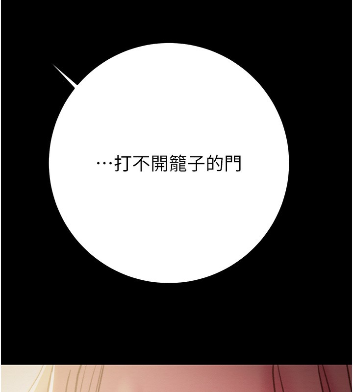 214P - 掠夺行动