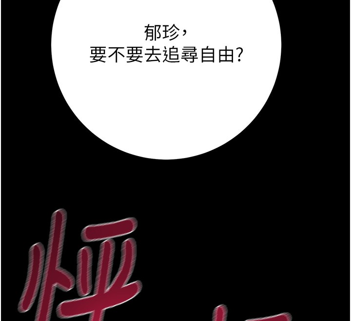 241P - 掠夺行动