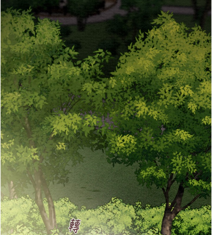 241P - 掠夺行动