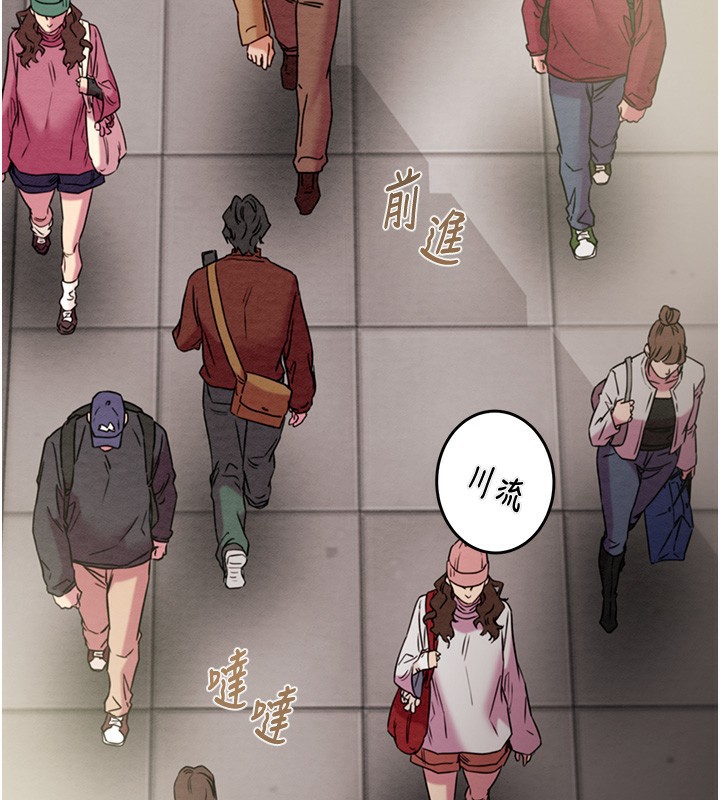 84P - 掠夺行动