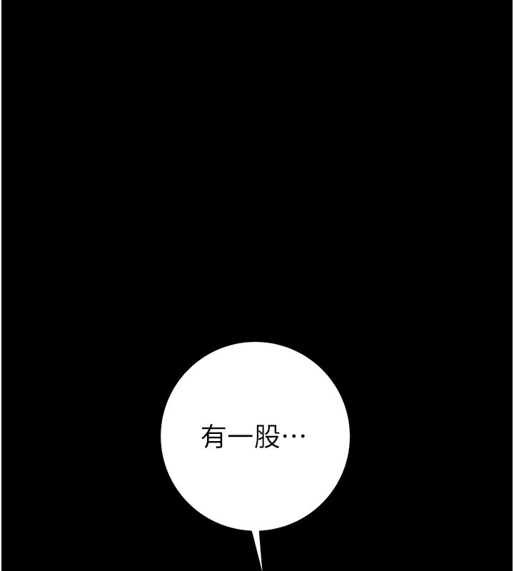 204P - 掠夺行动