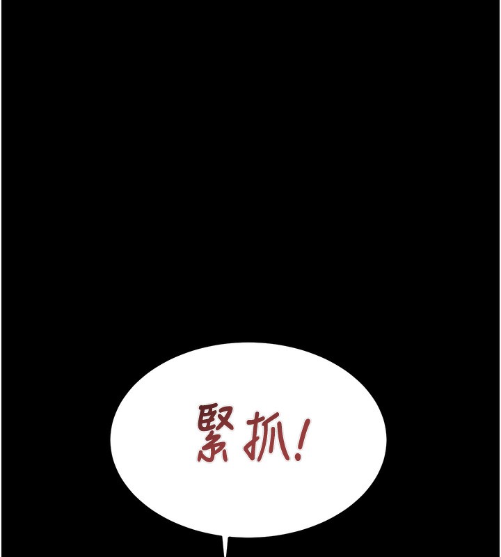 233P - 掠夺行动