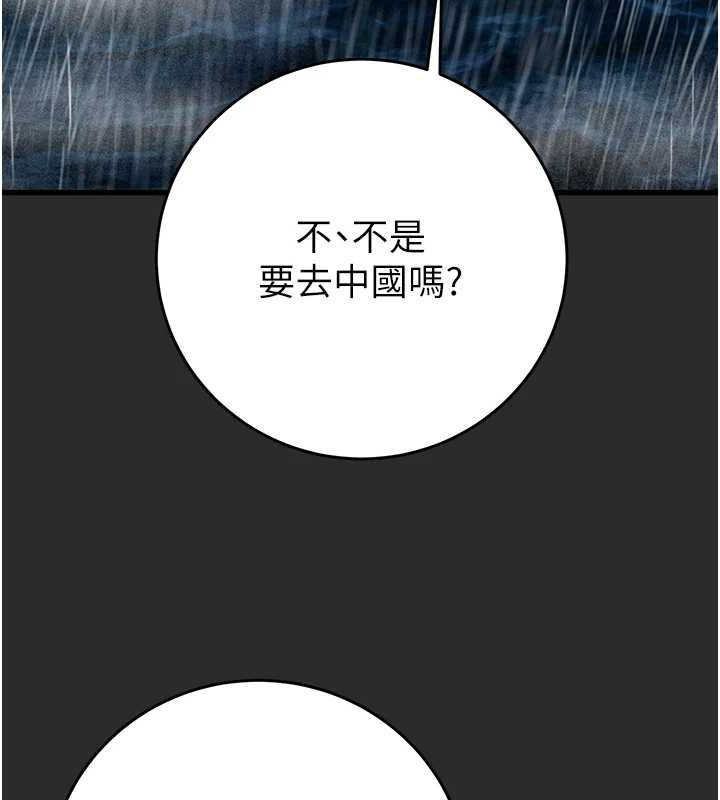 133P - 掠夺行动