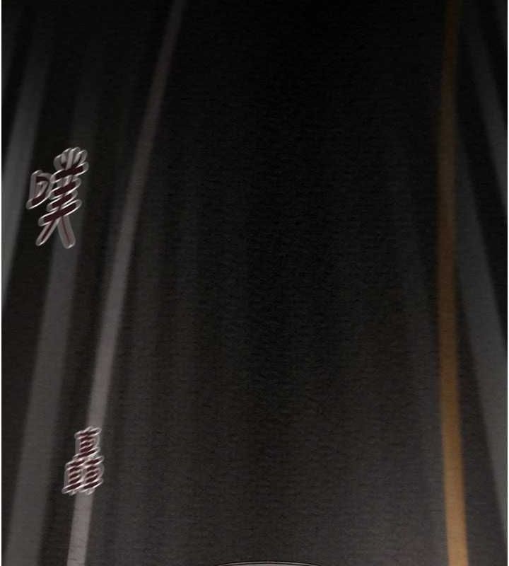 160P - 掠夺行动