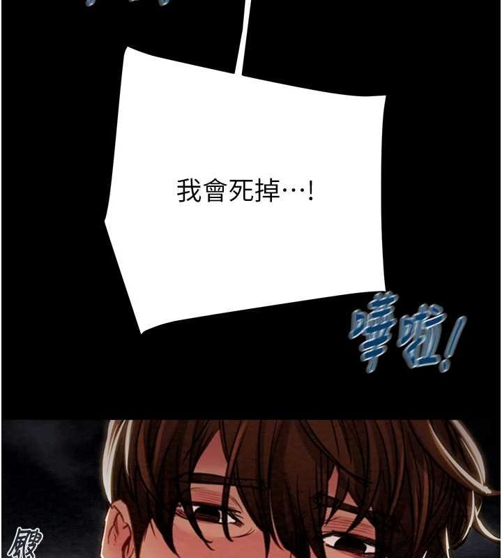 233P - 掠夺行动