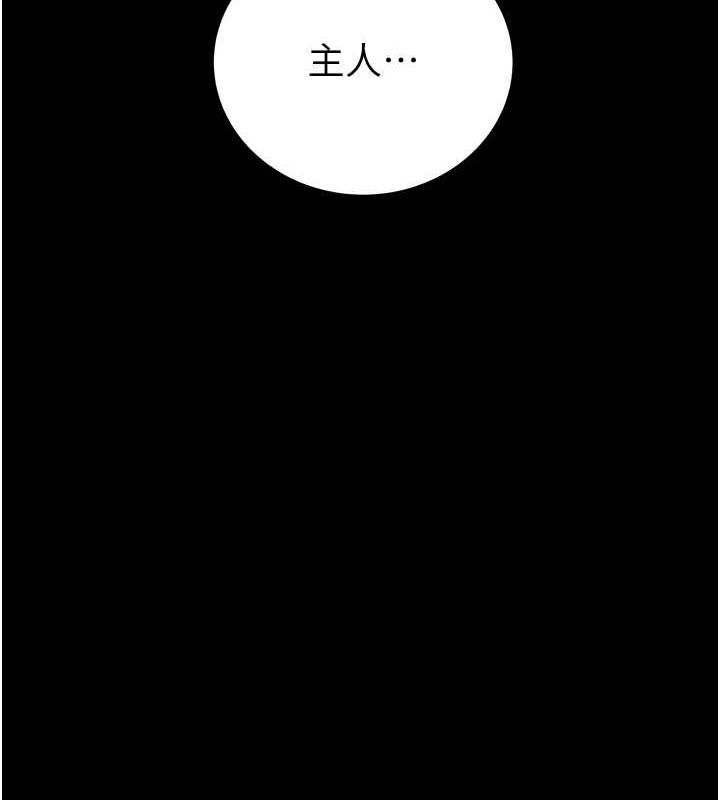 199P - 掠夺行动