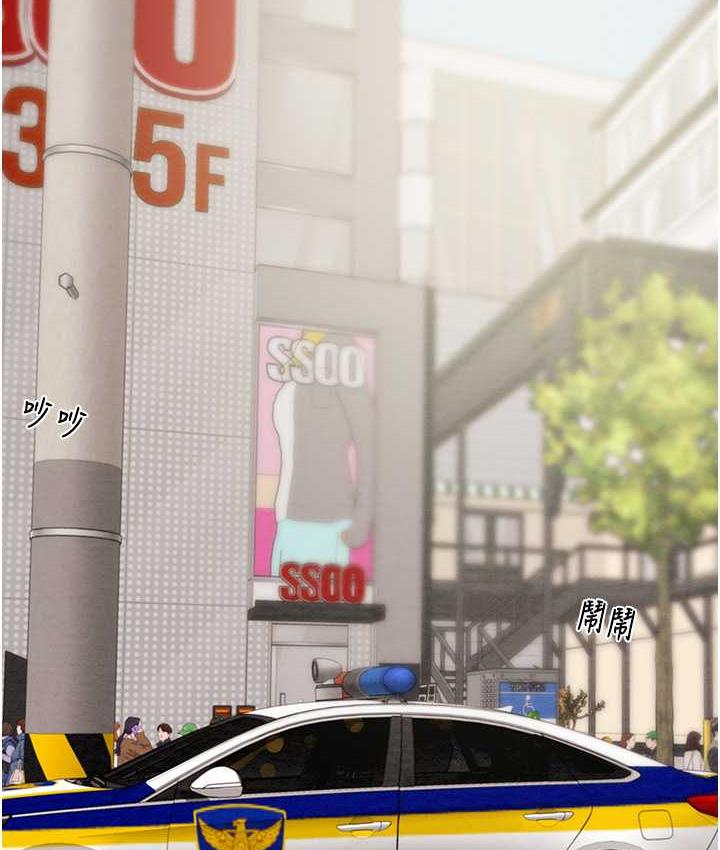37P - 掠夺行动