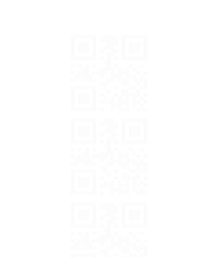 81P - 掠夺行动