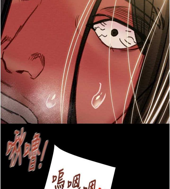 163P - 掠夺行动
